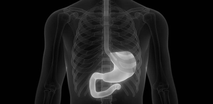 Рентгеноскопия пищевода и желудка - КГП на ПХВ 